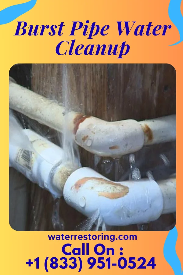 Burst Pipe Water Cleanup in Marion, MN