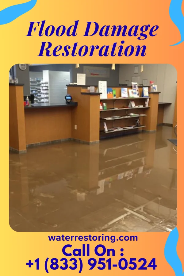 Flood Damage Restoration in Marion, MN