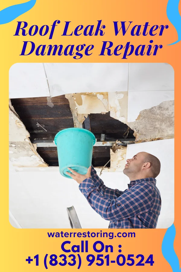 Roof Leak Water Damage Repair in Marion, MN