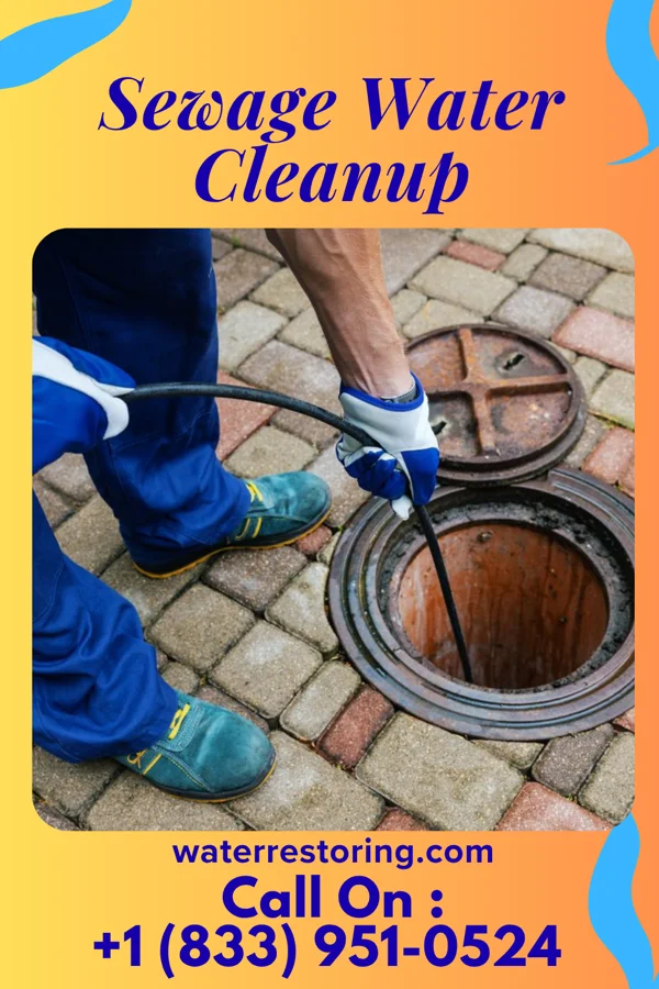 Sewage Water Cleanup in Marion, MN